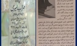 همکار فاضل ما