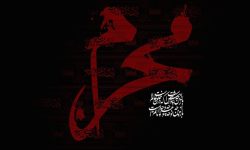 پیام تسلیت رئیس و اعضای شورای اسلامی شهر مسجدسلیمان، به مناسبت فرا رسیدن حلول ماه محرم و ایام شهادت امام حسین (ع)