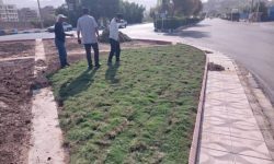 آغاز کاشت چمن طبیعی میدان هوانیروز توسط شهرداری مسجدسلیمان