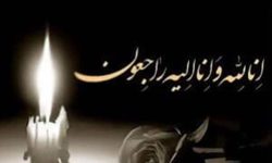 پیام تسلیت دکتر امیدوار رضایی در پی سانحه ناگوار گردنه چری