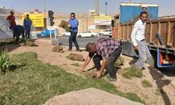 گام تازه شهرداری مسجدسلیمان در توسعه و زیباسازی فضای سبز شهری