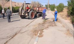 پاکسازی و هرس فضای سبز و درختان شهرک ولیعصر در پاسخ به مطالبه ساکنان