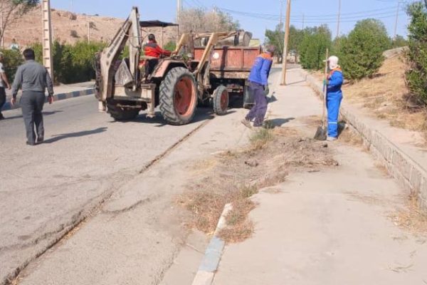 پاکسازی و هرس فضای سبز و درختان شهرک ولیعصر در پاسخ به مطالبه ساکنان