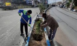 افزایش و بهسازی فضای سبز شهری در بلوار حدفاصل دانشگاه آزاد اسلامی تا سی‌برنج
