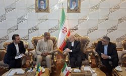 رئیس مجلس اتیوپی وارد تهران شد