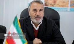 رضایی‌کوچی: کاهش بودجه فرهنگ مستقیماً بر قدرت نرم کشور اثرگذار است