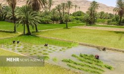 گزارش دیوان محاسبات از عدم تحقق قانون اخذ عوارض از چاه‌های کشاورزی