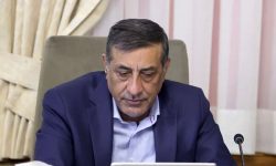 قائم پناه: وعده پزشکیان در اجرای عدالت در توزیع یارانه شروع می‌شود