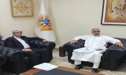 برگزاری اجلاس همکاری‌های اقتصادی ایران و آفریقا در تهران