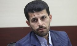 دولت باید بر کیفیت و قیمت خودروهای داخلی نظارت بیشتری کند