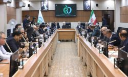 شهریاری: از همه ظرفیت‌های مجلس برای رفع مشکلات دارویی استفاده می‌کنیم