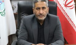رضاارزانی سرپرست شهرداری مسجدسلیمان: حراست و فناوری اطلاعات دو بازوی اثرگذار مدیریت شهری هستند