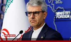 بقائی: فهرست جنایات آمریکا علیه ایرانیان هر روز طولانی‌تر می‌شود