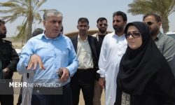 مهاجرانی: تداوم خدمت‌رسانی در جنوب کشور؛ هدف دشمن زندگی مردم است