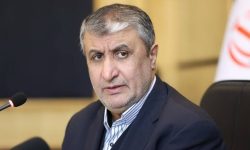 بازرسی از سایت‌های آسیب دیده فقط با پروتکل جدید