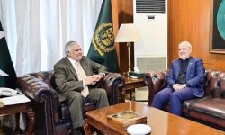 رایزنی وزیرخارجه پاکستان و سفیر ایران؛ تأکید بردیپلماسی جهت ثبات منطقه