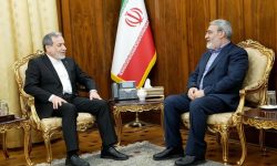 رحمانی فضلی با عراقچی دیدار کرد