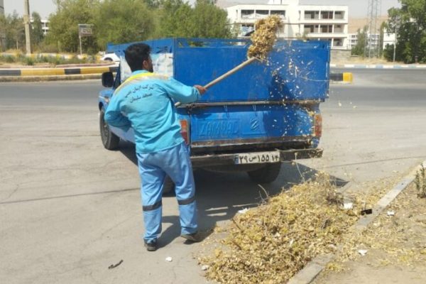 مسجدسلیمان زیر تیغ پاکسازی